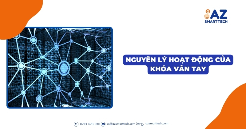 Nguyên lý hoạt động của khóa vân tay